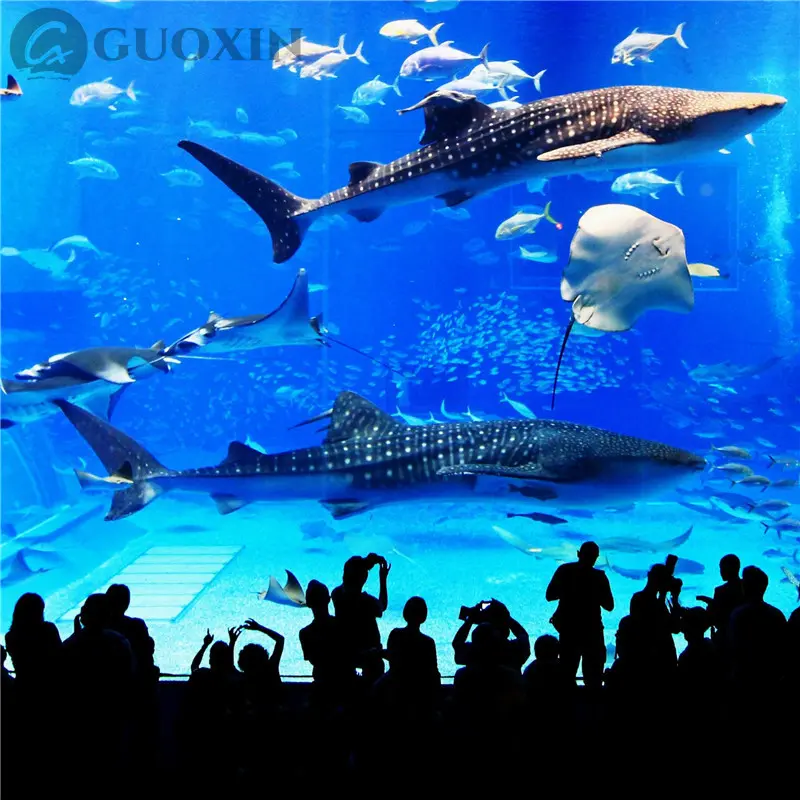 Jumbo Size Glass (10).jpg