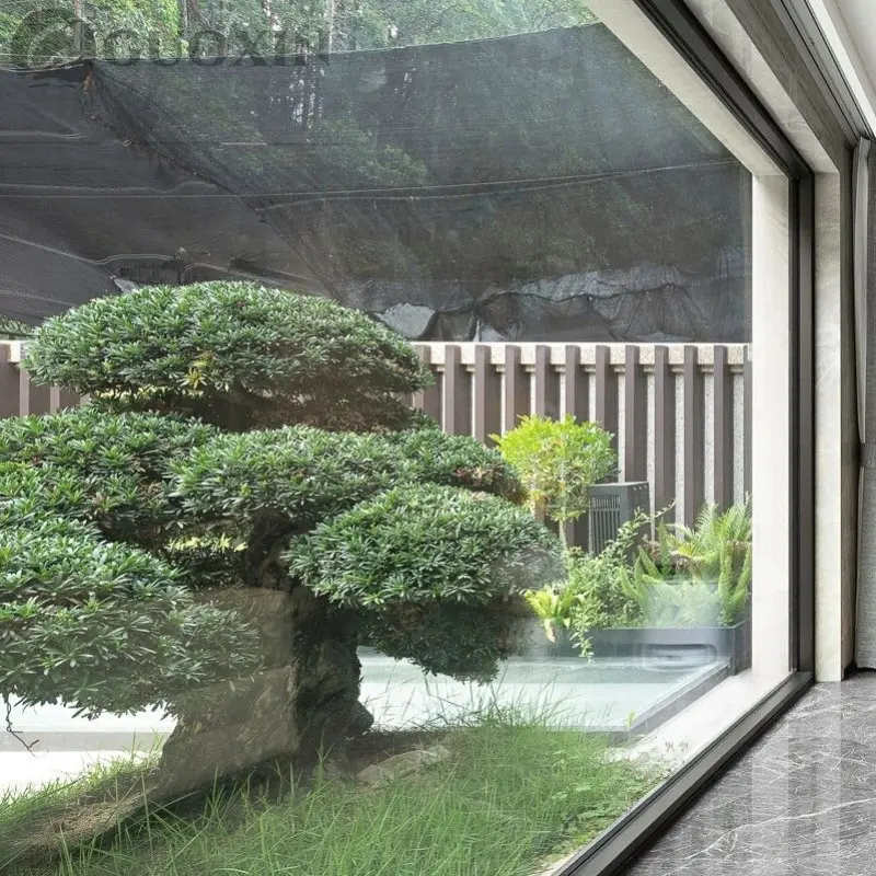 System Window (7).jpg